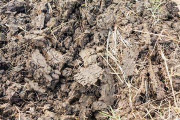 soil texture