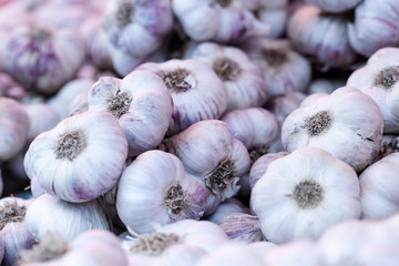 Different types of garlic on food market