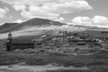 Bodie