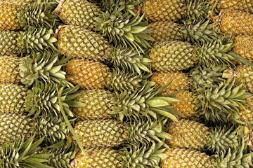 Pineaples.