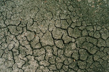 Soil Cracked ground