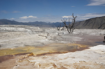 Fototapeta na wymiar mammoth hot springs
