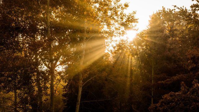 Fototapeta Beams of rising sun