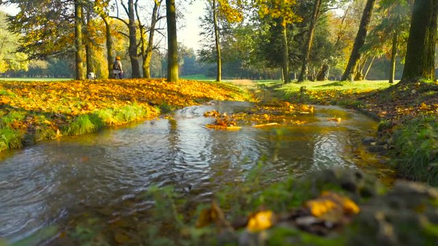 Woman walking with her dog near a quiet river in a park in autumn