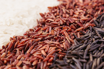 Strips of red, black and white rice close-up. Rice texture background. Macro.