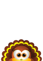 Thanksgiving turkey on white backgroud