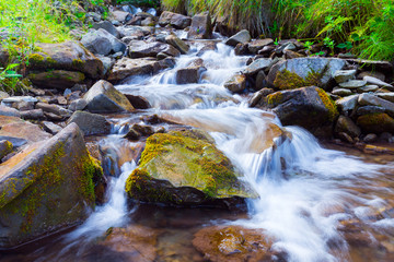 Naklejka na ściany i meble Mountain stream(creek) in the stones and green grass banks in mountain forest. Crystal clear water - rare condition of modern enviroment. Long exposure.