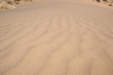 Fototapeta na wymiar desert waves