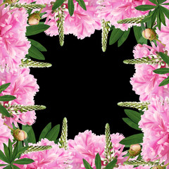 Beautiful floral background with pink peonies and lupine 