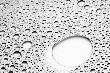 water drops of on treat water-repellent surface in macro lens shot small-DOF for screen wallpapers
