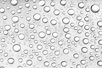 water drops of on treat water-repellent surface in macro lens shot small-DOF for screen wallpapers