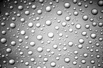 water drops of on treat water-repellent surface in macro lens shot small-DOF for screen wallpapers