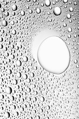 bw photo water drops of on treat water-repellent surface in macro lens shot small-DOF for screen...