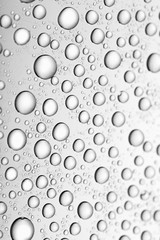 bw photo water drops of on treat water-repellent surface in macro lens shot small-DOF for screen wallpapers