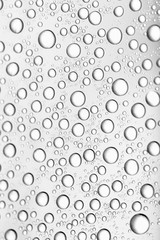 bw photo water drops of on treat water-repellent surface in macro lens shot small-DOF for screen wallpapers