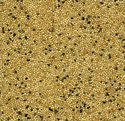 Seeds of yellow amaranth.