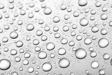bw photo water drops of on treat water-repellent surface in macro lens shot small-DOF for screen wallpapers