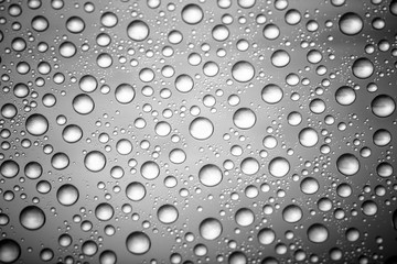 bw photo water drops of on treat water-repellent surface in macro lens shot small-DOF for screen...