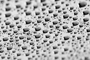 bw photo water drops of on treat water-repellent surface in macro lens shot small-DOF for screen...