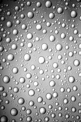 bw photo water drops of on treat water-repellent surface in macro lens shot small-DOF for screen wallpapers