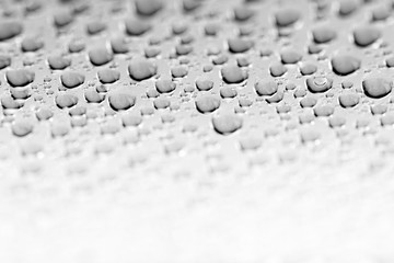 bw photo water drops of on treat water-repellent surface in macro lens shot small-DOF for screen...