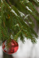 Red Christmas ball on snowy tree branch.
