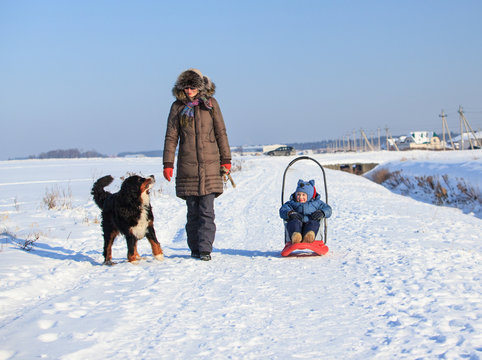 Mother and her little son with sled playing with bernese mountain dog