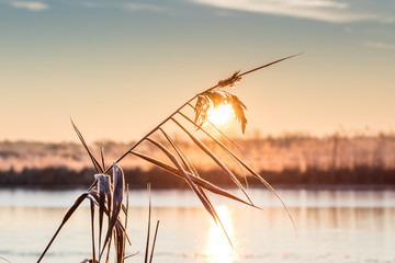 Obraz premium sonnenaufgang prerower strom