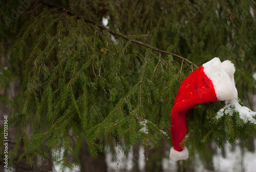 quot red santa hat the christmas tree in the winter forest quot red santa hat the christmas tree in the winter forest