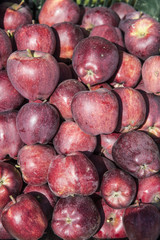 Red apples 