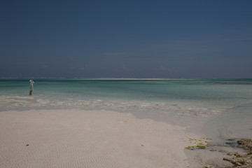 Obraz premium Michamwi Bay Zanzibar, Tanzania.