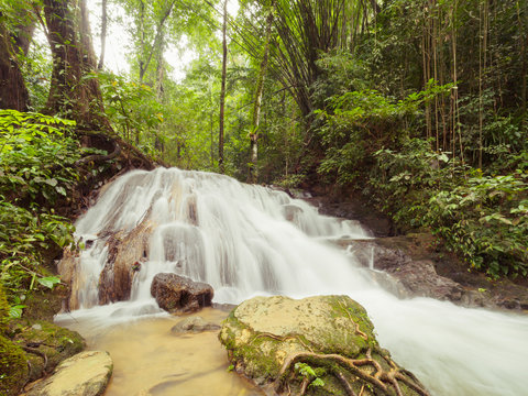 รูปภาพManora – เลือกดูภาพถ่ายสต็อก เวกเตอร์ และวิดีโอ558 | Adobe Stock