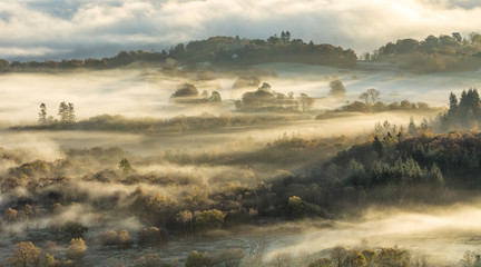 Autumn hilly landscape covered in lingering fog/mist with warm morning light.