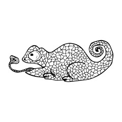 Vector illustration of doodle Chameleon. Coloring page