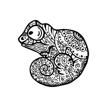 Vector illustration of Chameleon with doodle pattern. Coloring p