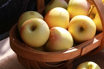 かごの中のりんご