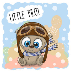 Teddy Bear in a pilot hat