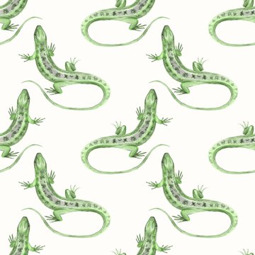 Lizard. Watercolor seamless pattern. Art background 5