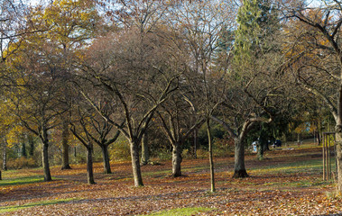 Herbstland- Im Park


















Herbstland - Im Park
