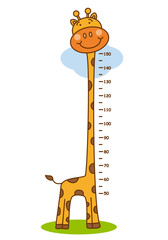 Obraz premium meter wall giraffe