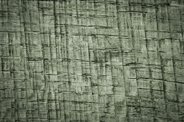 Wood texture. Lining boards wall. Wooden background pattern. Showing growth rings. green color