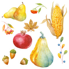 Autumn Thanksgiving watercolor clipart
