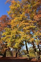 Naklejka premium Herbst im Park