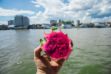 Half of fresh pink pitaya is in hand on the background of Singapore's waterfront