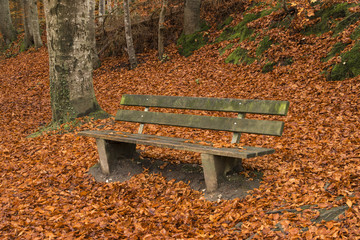 Sitzbank im Herbst