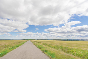 Fototapeta na wymiar Asphalt road through the field with green grass under blue sky with clouds