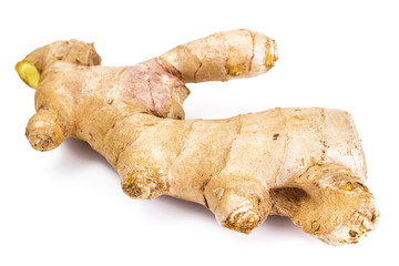 Fleshy fragrant ginger root
