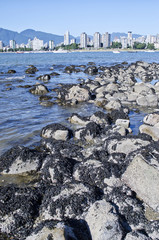 Coastline with Cityscape in Distance