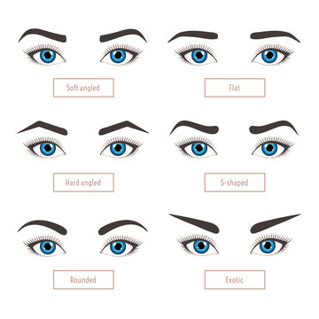 6 basic eyebrow shape types. Classic type and other. Eyebrows with eyes - stock vector illustration with captions. Fashion female brow. Trimming.