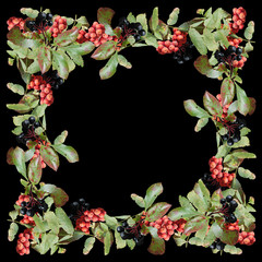 Beautiful autumn background berries aronia and red rowan 